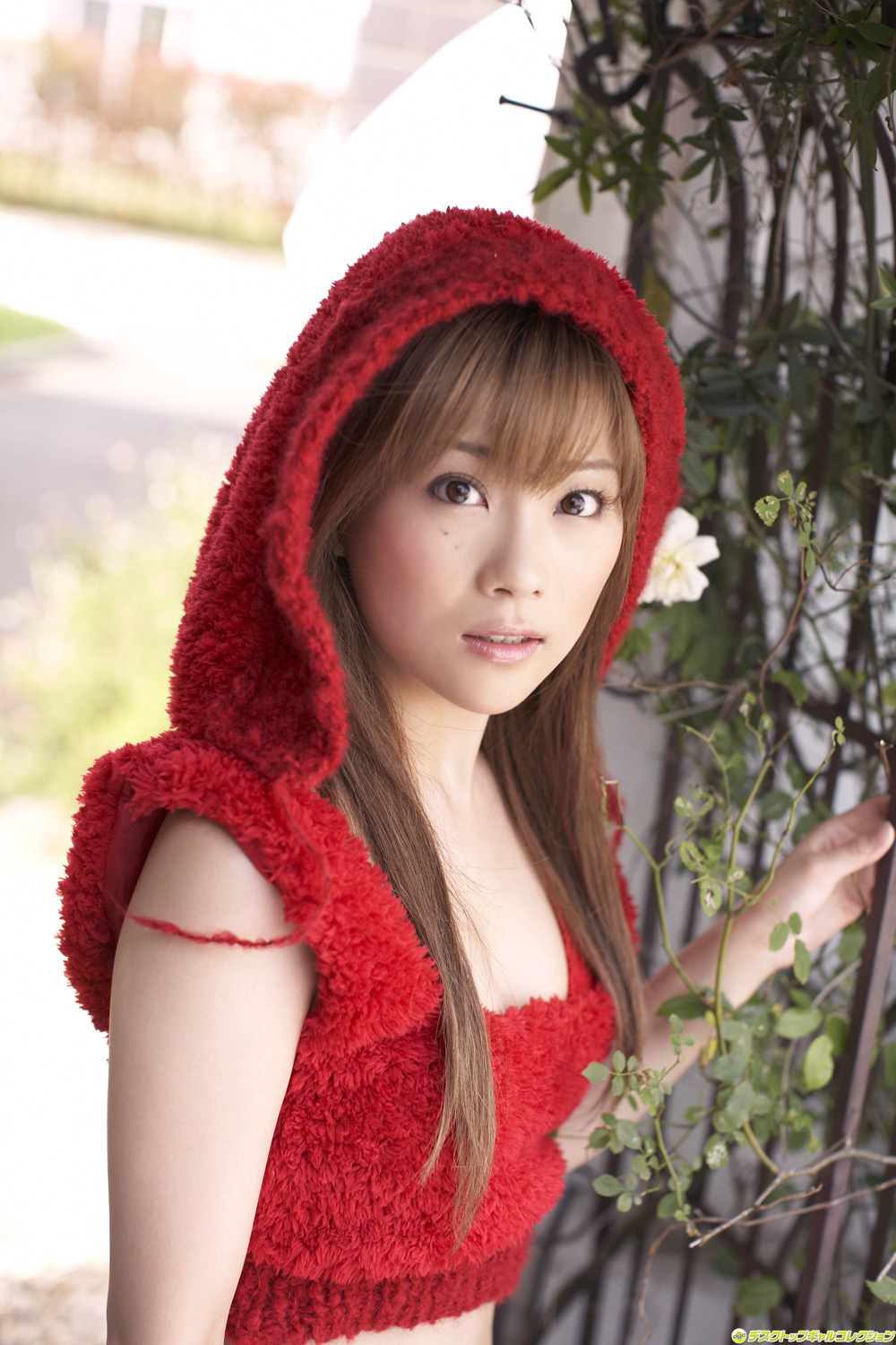 重盛さと美 [DGC]No.749 SatomiShigemori